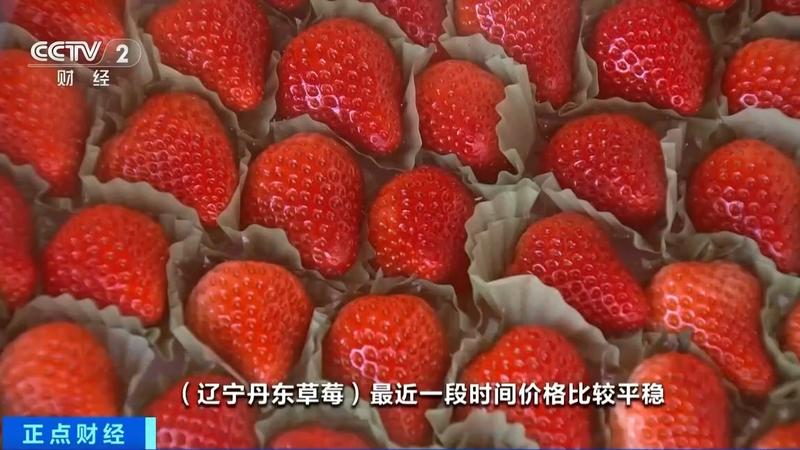 “水果脑袋”看过来！草莓、梨、蓝莓、砂糖橘等集中上市